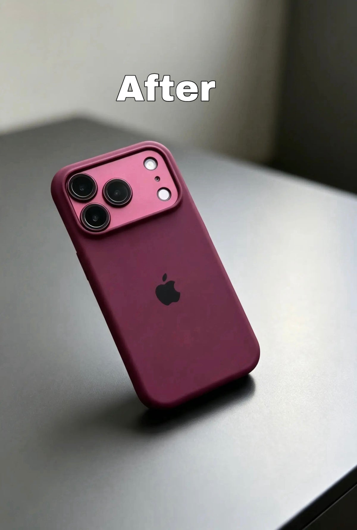 Burgundy Apple Logo Silicone Case With Convertor Lens To 18 Series