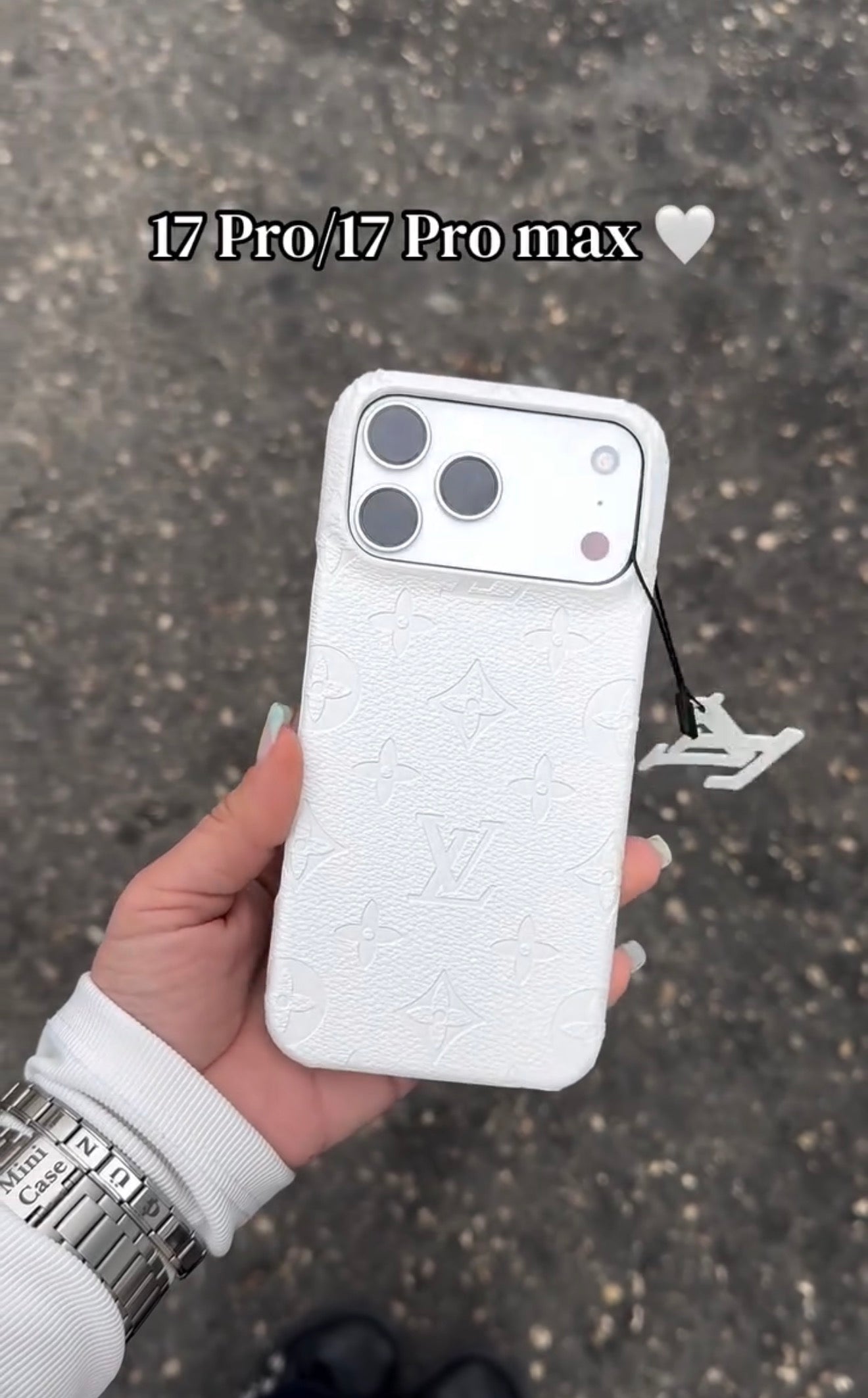 Branded LV Case